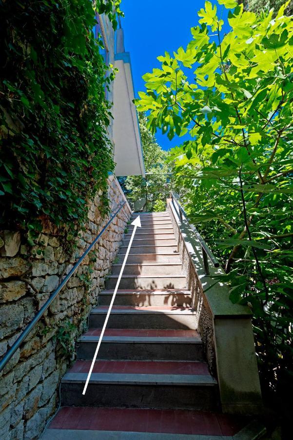 Magnolia Art Dubrovnik
